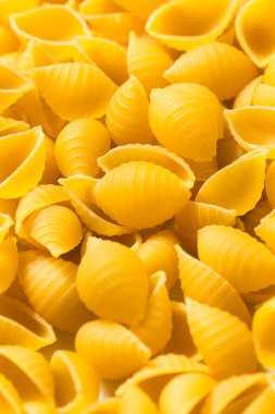 Kuru Organik Konchiglie Makarna Kabukları Pişirmeye Hazır
