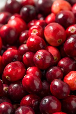 Kullanmaya Hazır Organik Çiğ Kırmızı Kızılcıklar