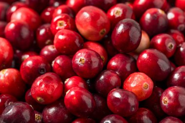 Kullanmaya Hazır Organik Çiğ Kırmızı Kızılcıklar