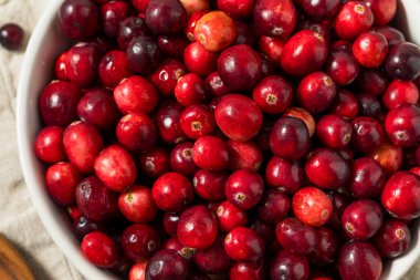 Kullanmaya Hazır Organik Çiğ Kırmızı Kızılcıklar