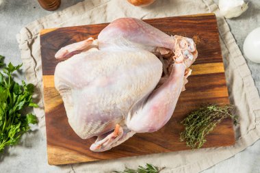 Çiğ Şükran Günü hindisi Mevsim ve Pişirmeye Hazır