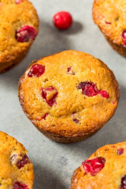 Şükran Günü için ev yapımı kızılcık keki.