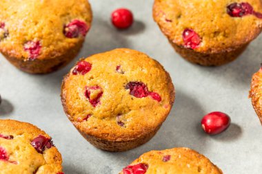 Şükran Günü için ev yapımı kızılcık keki.