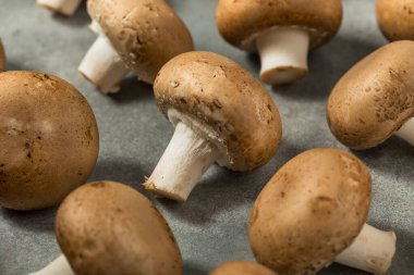 Çiğ Organik Cremini Bebek Bella Mantarlarıyla Pişirmeye Hazır