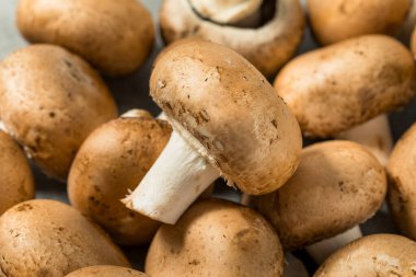 Çiğ Organik Cremini Bebek Bella Mantarlarıyla Pişirmeye Hazır