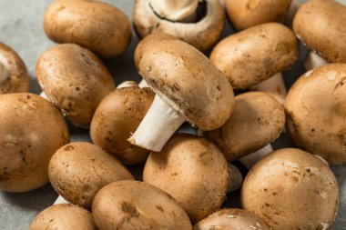 Çiğ Organik Cremini Bebek Bella Mantarlarıyla Pişirmeye Hazır