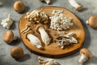 Oyster Cremini ve Trompetli Organik Çiğ Gurme Mantarları