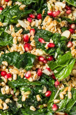 Peynirli ve nar tohumlu Hearty Fall Farro Kale Salatası