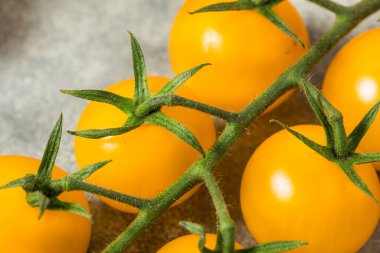 Organik Çiğ Sarı Vişneli Domatesler