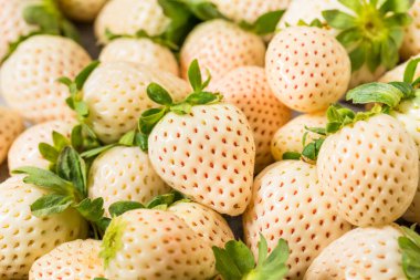 Organic Raw Pink Pineberry Strawberries Ready to Eat clipart