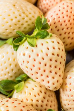 Organik Çiğ Pembe Çilek Yemeye Hazır