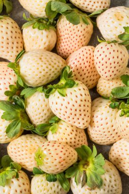 Organik Çiğ Pembe Çilek Yemeye Hazır