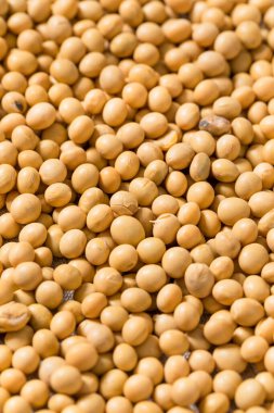 Kuru Organik Çiğ Soya Fasulyesi Kasede