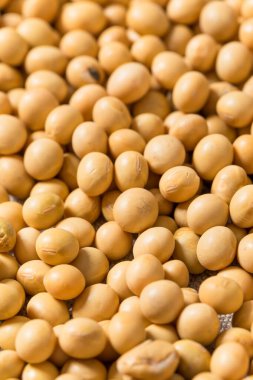 Kuru Organik Çiğ Soya Fasulyesi Kasede