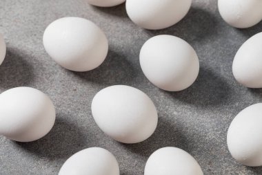 Organik Kafes Bedava Beyaz Yumurtalar