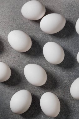 Organik Kafes Bedava Beyaz Yumurtalar