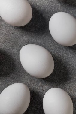 Organik Kafes Bedava Beyaz Yumurtalar