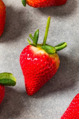 Bir demet organik Uzun Kök Çilek