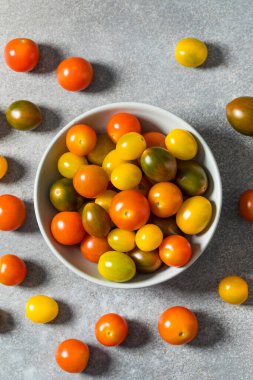 Organik Renkli Aile Yadigarı Kiraz Domatesleri Pişirmek İçin Bir Kase İçinde