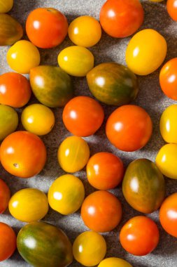 Organik Renkli Aile Yadigarı Kiraz Domatesleri Pişirmek İçin Bir Kase İçinde