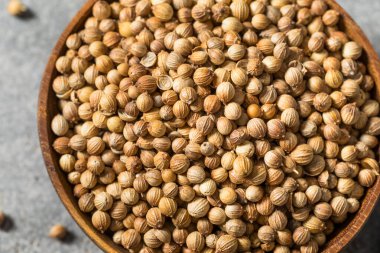 Kuru Organik Hint kişniş tohumları Yemek Kasesinde