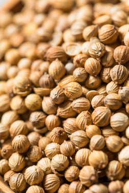 Kuru Organik Hint kişniş tohumları Yemek Kasesinde