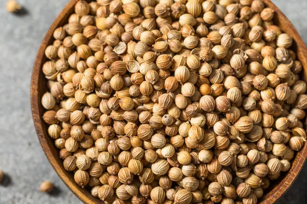 Kuru Organik Hint kişniş tohumları Yemek Kasesinde