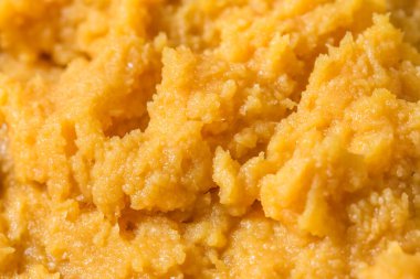 Ev yapımı Japon Beyaz Miso Yapıştırıcısı