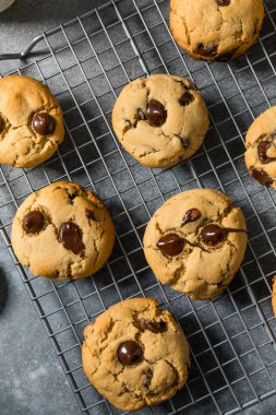 Ev yapımı Miso Çikolatalı Çerezler ve Deniz Tuzu
