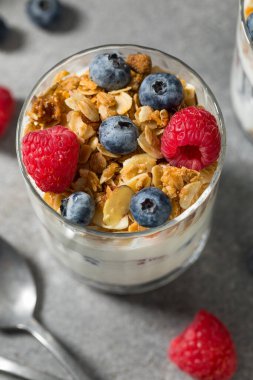 Granola ve böğürtlenli ev yapımı sağlıklı Yoğurt Parfümü