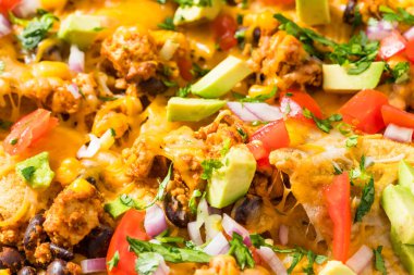 Ev yapımı Vejetaryen Çarşaflı Nachos Domates Cilantro ve Limonlu