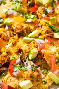 Ev yapımı Vejetaryen Çarşaflı Nachos Domates Cilantro ve Limonlu