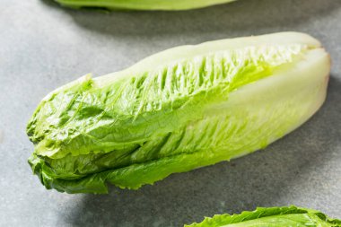 Organik Yeşil Romaine Marul Kafa Kesmeye Hazır