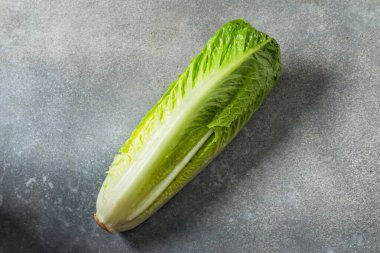 Organik Yeşil Romaine Marul Kafa Kesmeye Hazır