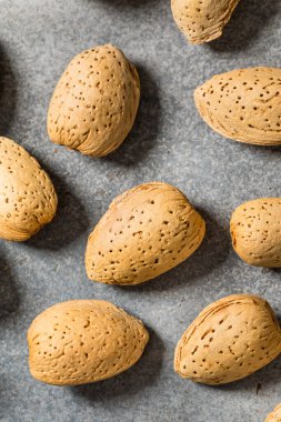 Kabuklarındaki organik çiğ badem fıstığı.