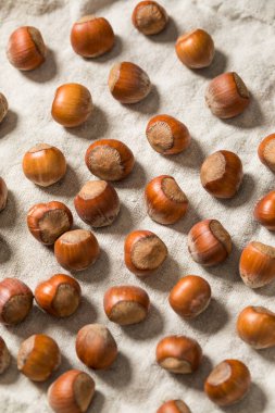 Bir kâsede organik çiğ fındık.