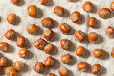 Bir kâsede organik çiğ fındık.