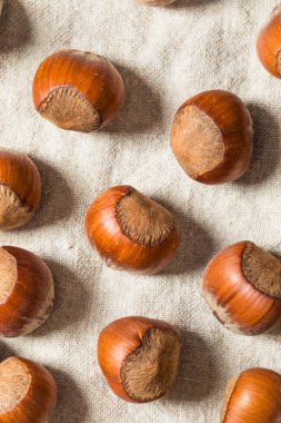 Bir kâsede organik çiğ fındık.