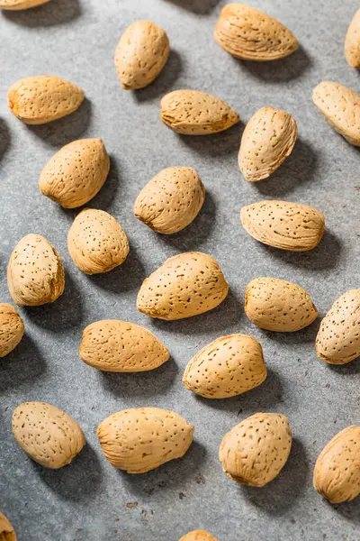 Kabuklarındaki organik çiğ badem fıstığı.