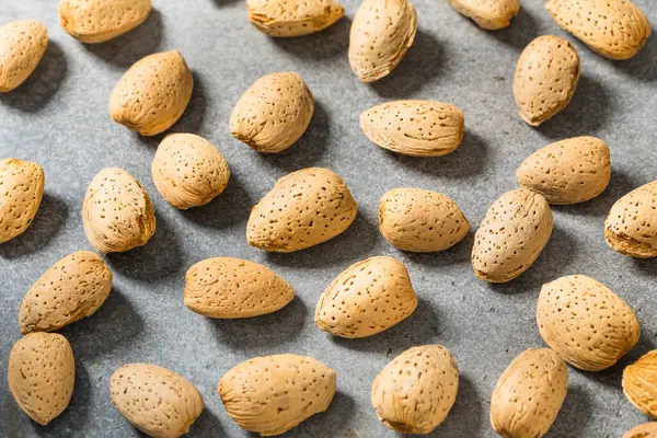 Kabuklarındaki organik çiğ badem fıstığı.