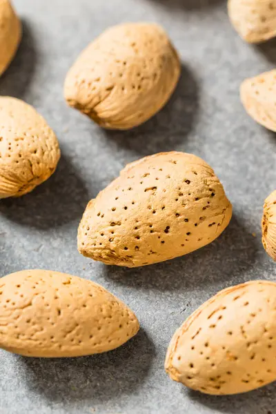 Kabuklarındaki organik çiğ badem fıstığı.