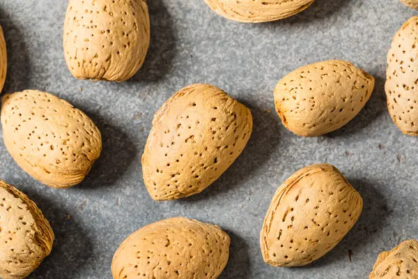 Kabuklarındaki organik çiğ badem fıstığı.