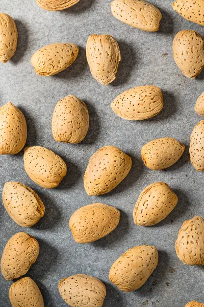 Kabuklarındaki organik çiğ badem fıstığı.