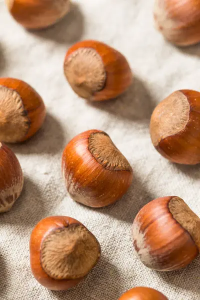 Bir kâsede organik çiğ fındık.