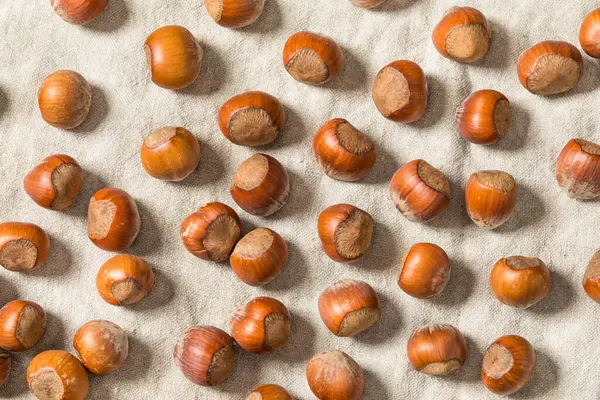 Bir kâsede organik çiğ fındık.