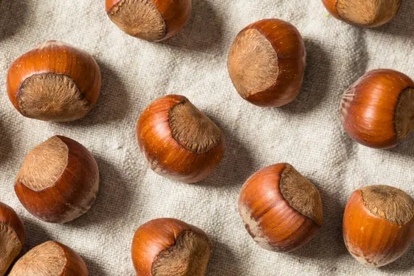 Bir kâsede organik çiğ fındık.