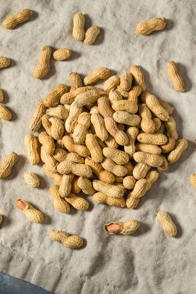 Kabukta soyulmamış çiğ organik fıstıklar yemeye hazır.