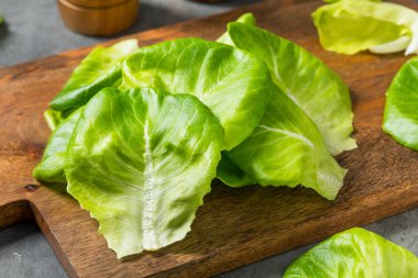 Çiğ Yeşil Organik Butterhead Marul Yemeye Hazır