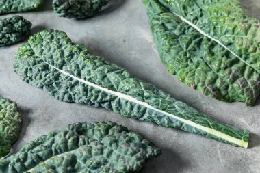 Organik Çiğ Yeşil Lacinato Dinozor Kalesi