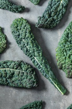 Organik Çiğ Yeşil Lacinato Dinozor Kalesi